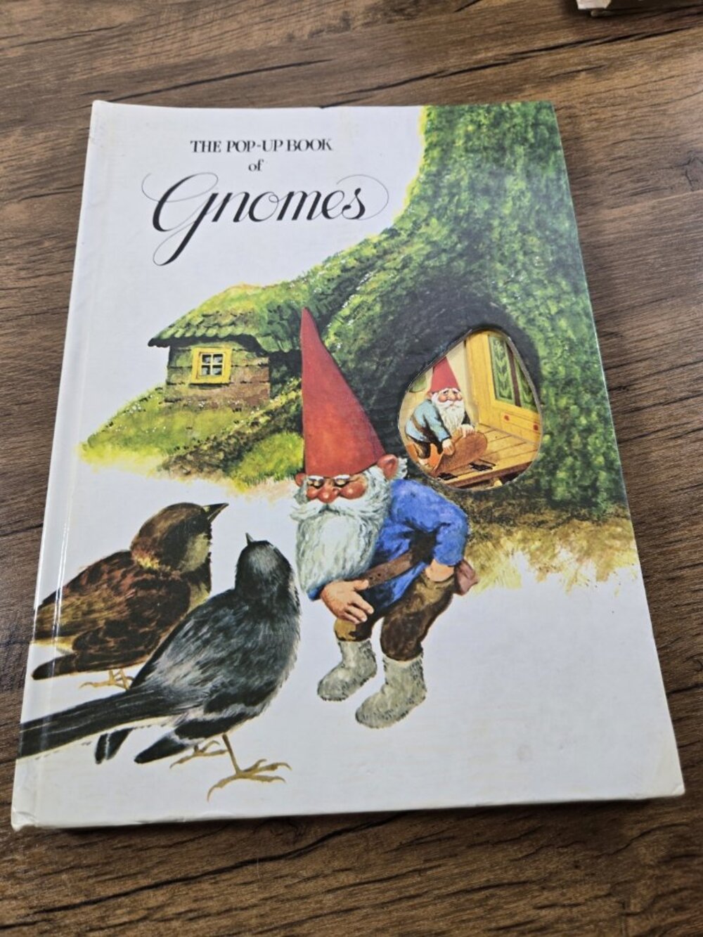 The Pop-Up Book of Gnomes | 1979 HC Vintage First Edition | Classic Gnome Illust
